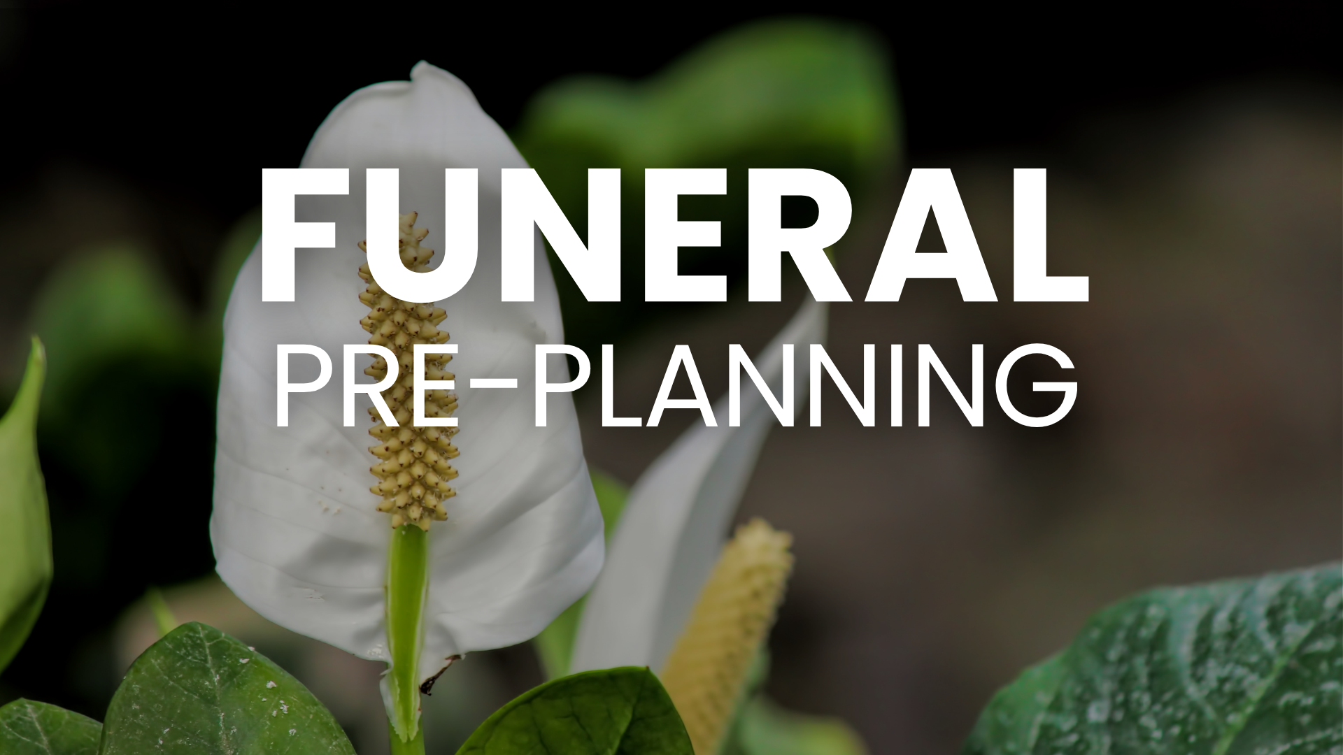 Funeral Pre-Planning Seminar